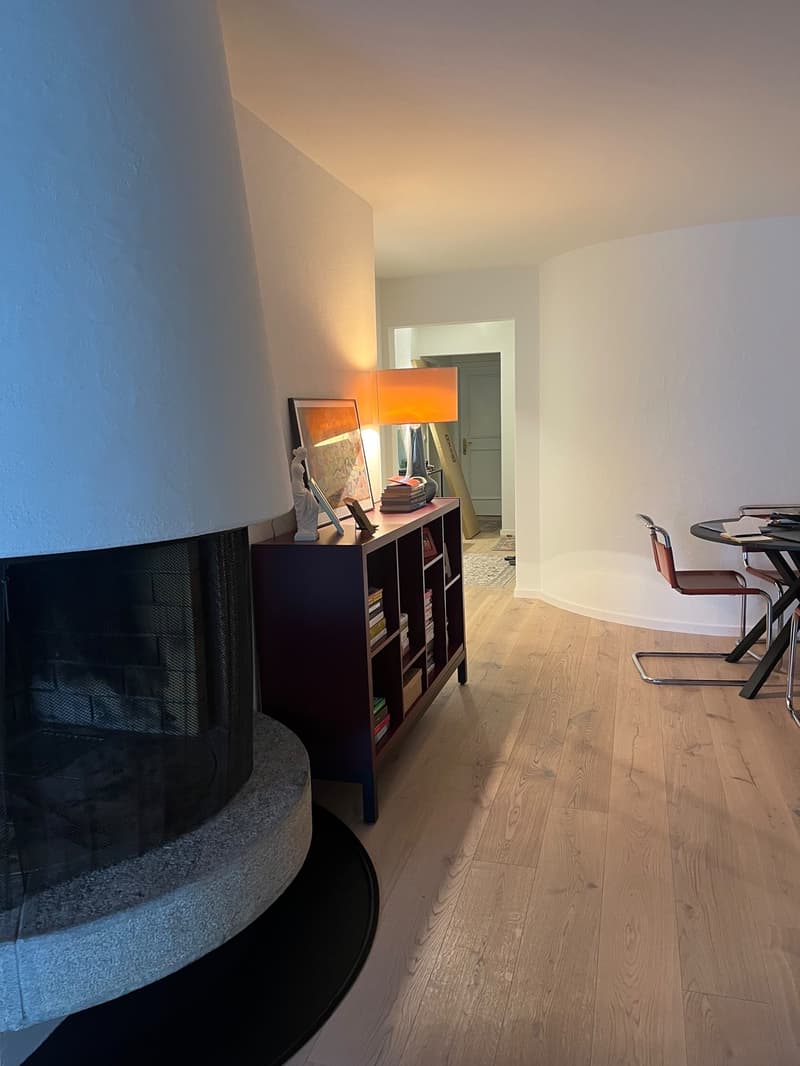 Zurich, Münsterhof - room in a large bright apartment with great views, lift and fire place (3)