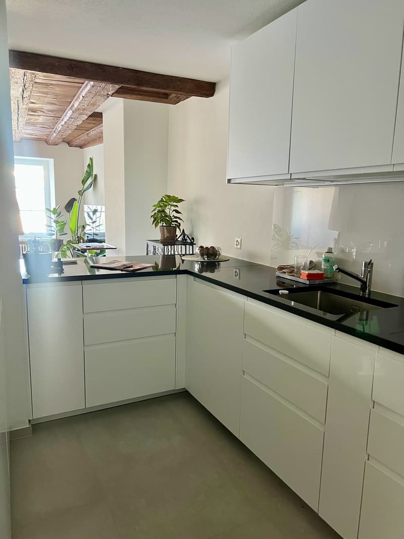 Zurich, Münsterhof - room in a large bright apartment with great views, lift and fire place (5)