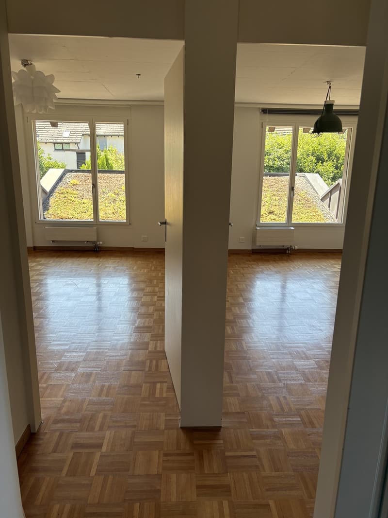 Wertvolles 5.5-Zimmer Haus mit Garten (8)