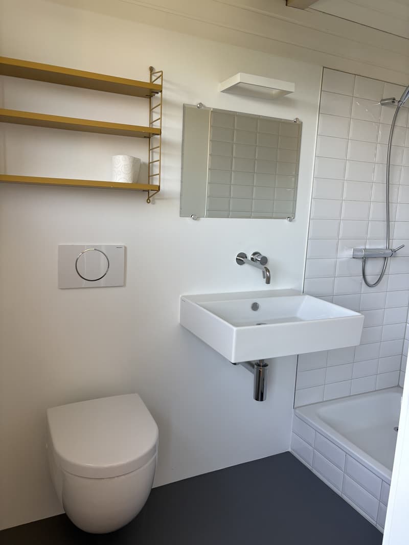 Wertvolles 5.5-Zimmer Haus mit Garten (12)