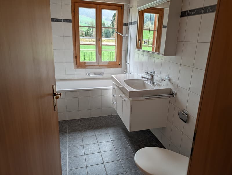 3,5- Zimmerwohnung (4)