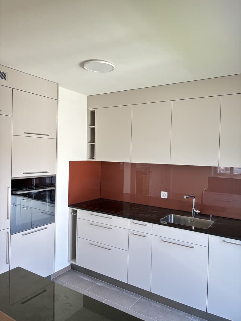 Erstvermietung- Frisch sanierte 4.Zimmer-Wohnung in Wollishofen (10)