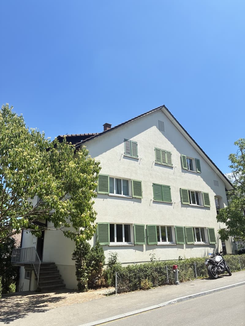 Erstvermietung- Frisch sanierte 4.Zimmer-Wohnung in Wollishofen (2)