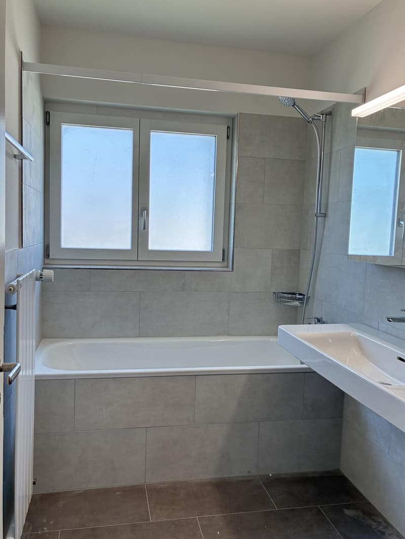 Erstvermietung- Frisch sanierte 4.Zimmer-Wohnung in Wollishofen (5)