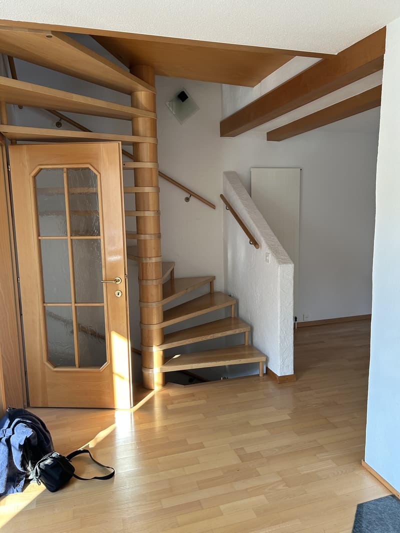 5.5 Zi. Reihenmittelhaus in Oberwinterthur (4)