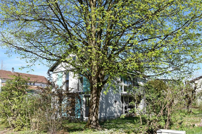 Einzigartiges 6-Zimmer-Einfamilienhaus in Rupperswil Purismus, Privatsphäre u. Nachhaltigkeit (5)