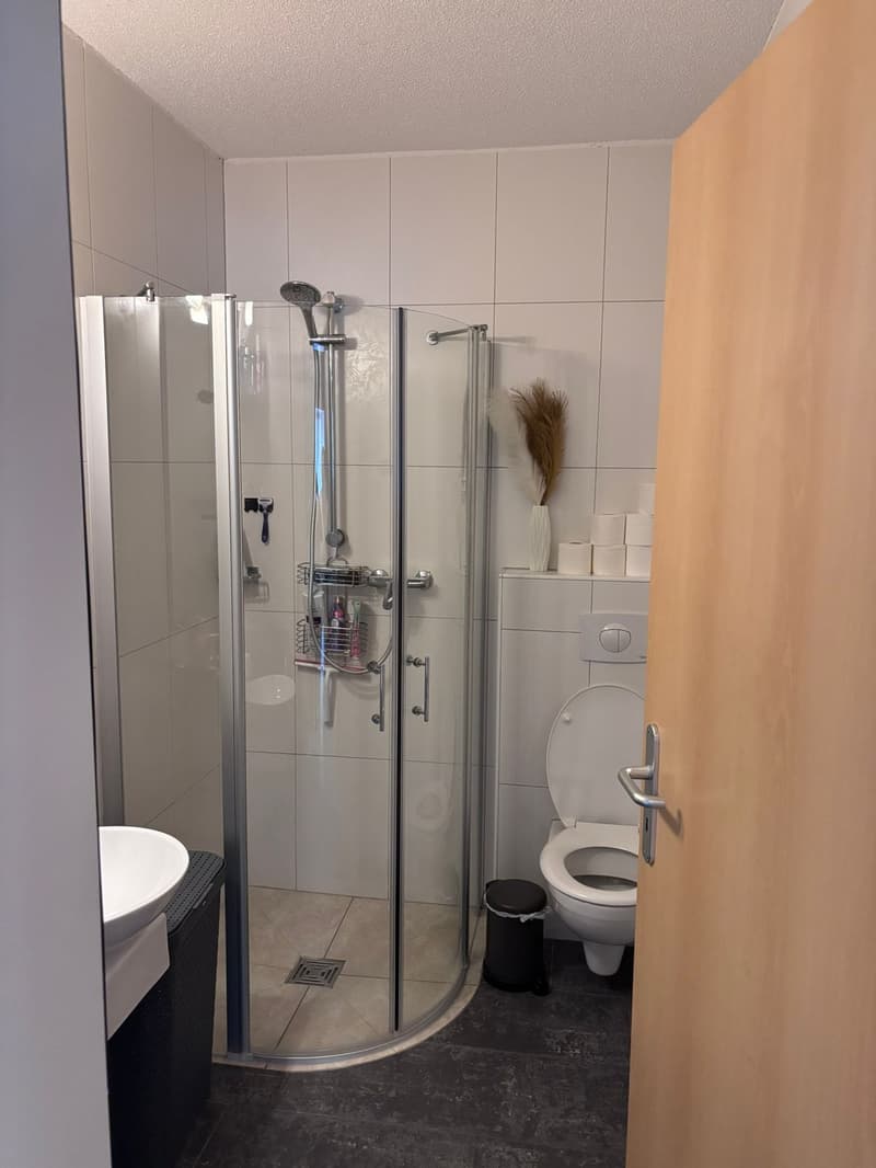 Helle 4.5-Zimmer-Wohnung am Waldrand ruhig, familienfreundlich & zentral (8)
