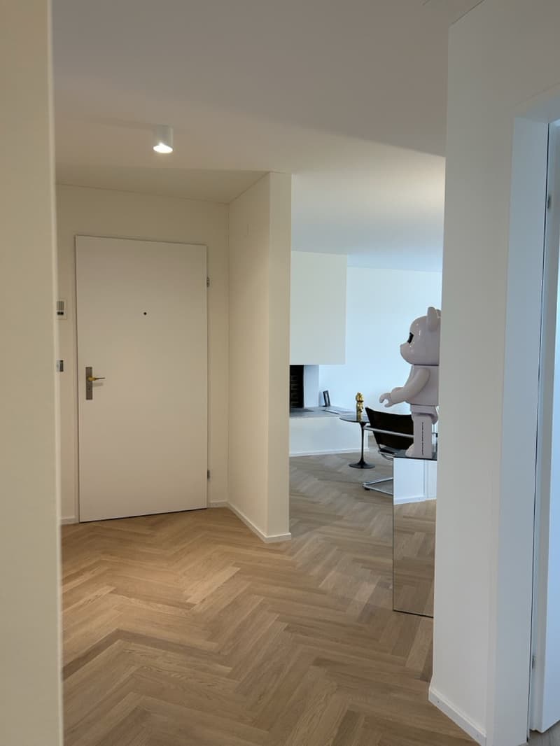 Sanierte 2,5-Zimmer-Wohnung in Erlenbach-Winkel mit Teilseesicht und Tiefgaragenplätze (9)