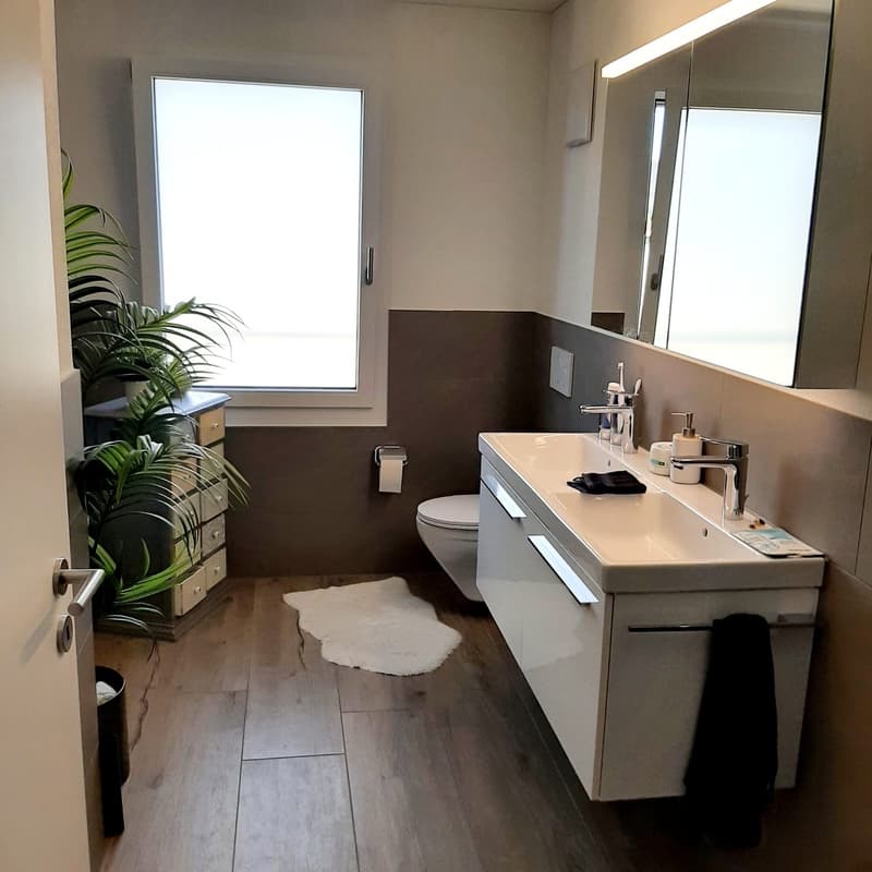 Moderne Neubau 3,5 Zimmer- Wohnung (9)