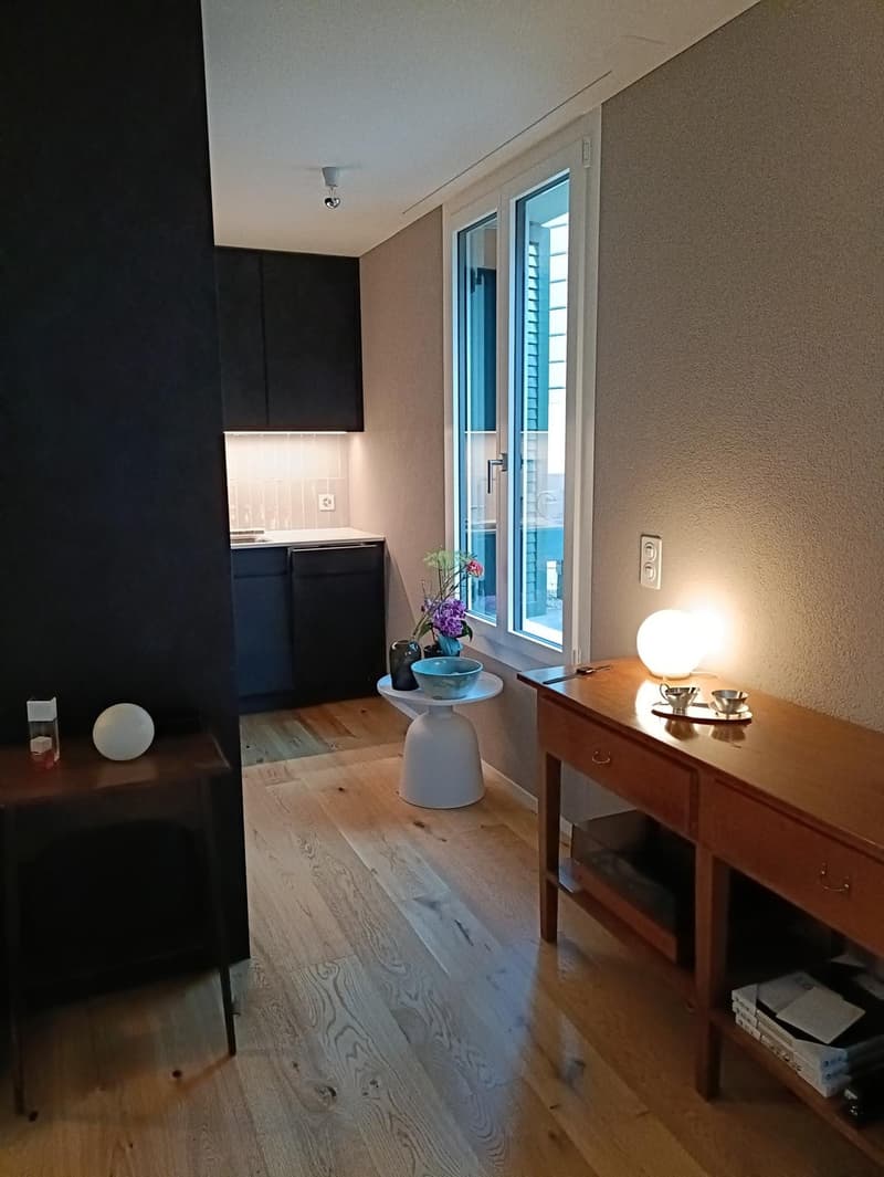 2.5 Zimmer Wohnung (Neubau) in Altstetten (3)