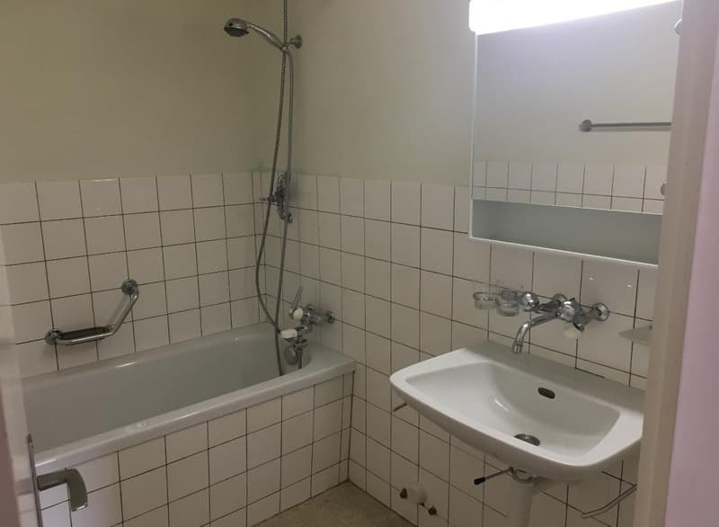 4.5 Zimmer Wohnung mit Dachterrasse (7)