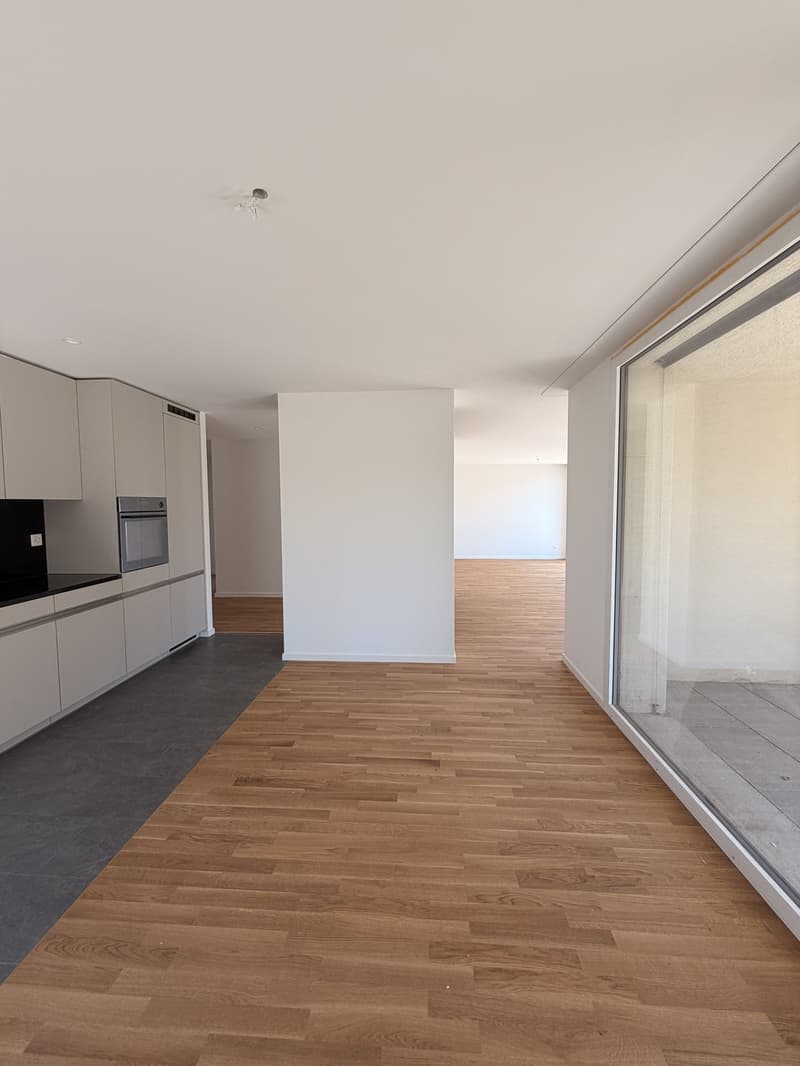 Moderne 4.5-Zimmer-Wohnung mit grosser Terrasse in Tagelswangen (4)