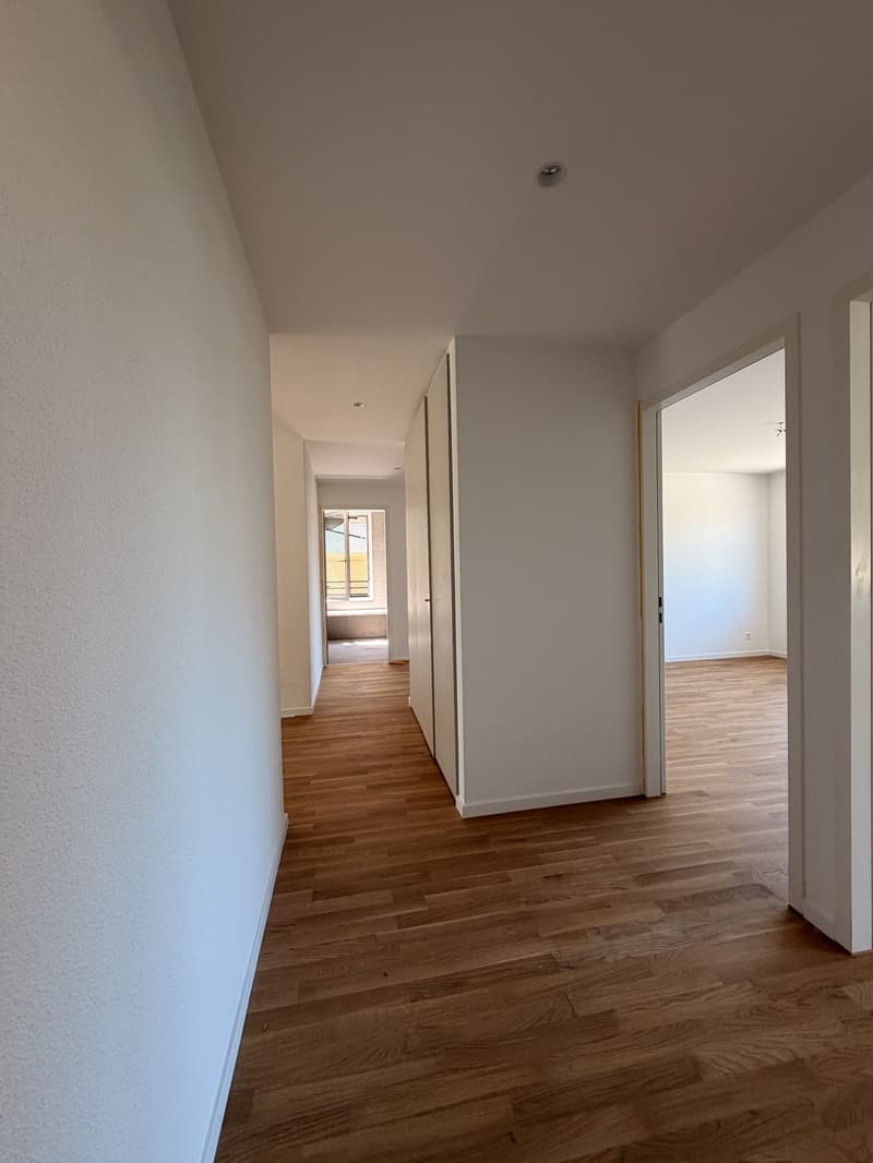 Moderne 4.5-Zimmer-Wohnung mit grosser Terrasse in Tagelswangen (10)