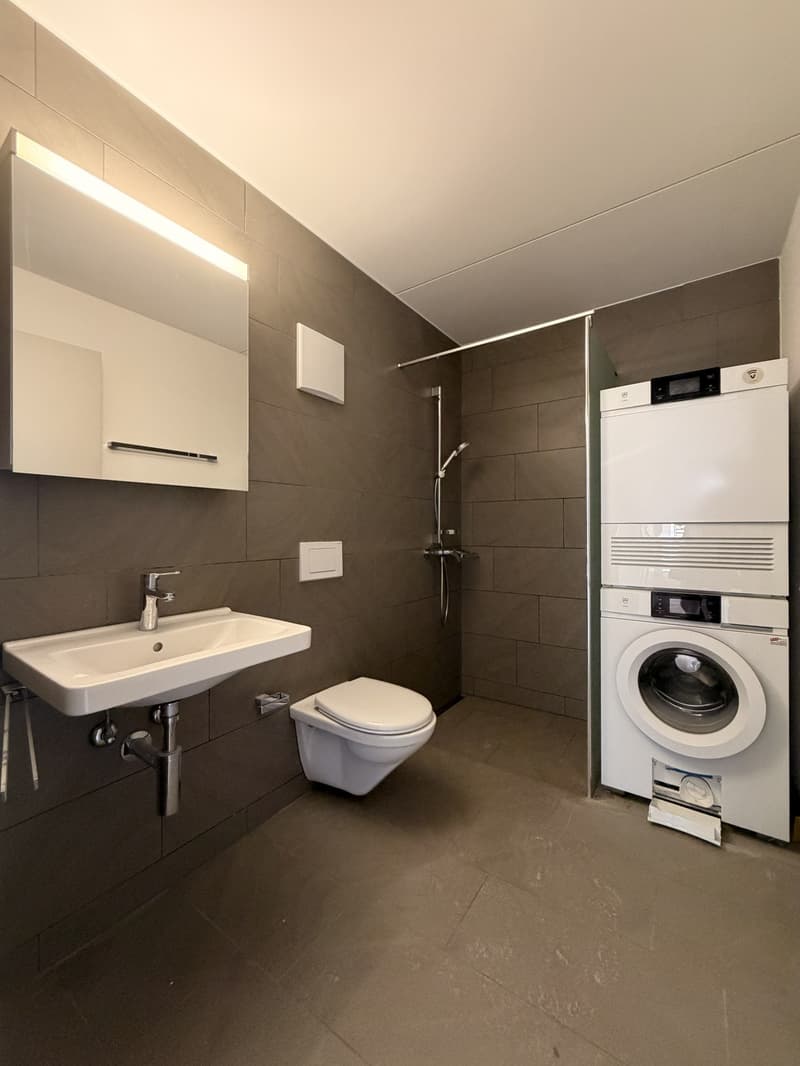 Moderne 4.5-Zimmer-Wohnung mit grosser Terrasse in Tagelswangen (12)