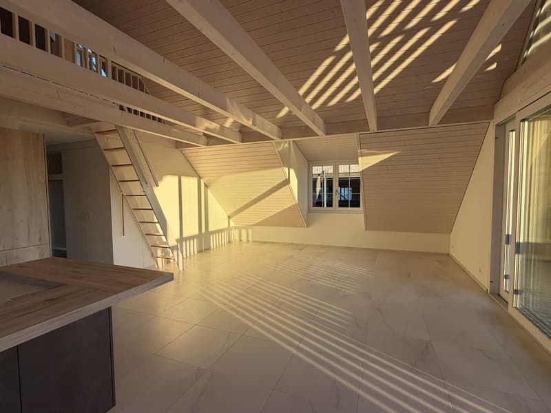 3 1/2 Dachwohnung mit zusätzlichem Raum (3)