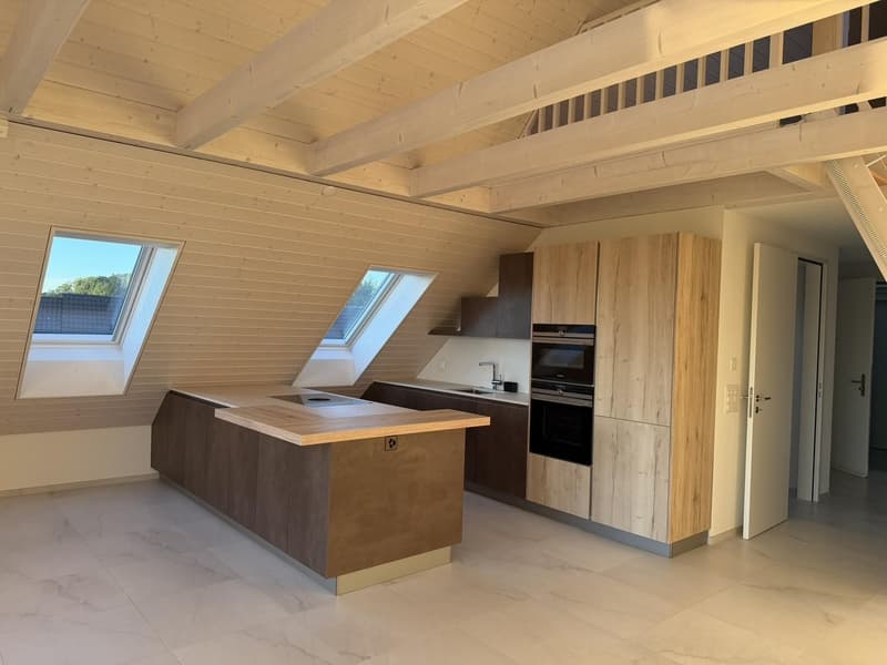 3 1/2 Dachwohnung mit zusätzlichem Raum (4)