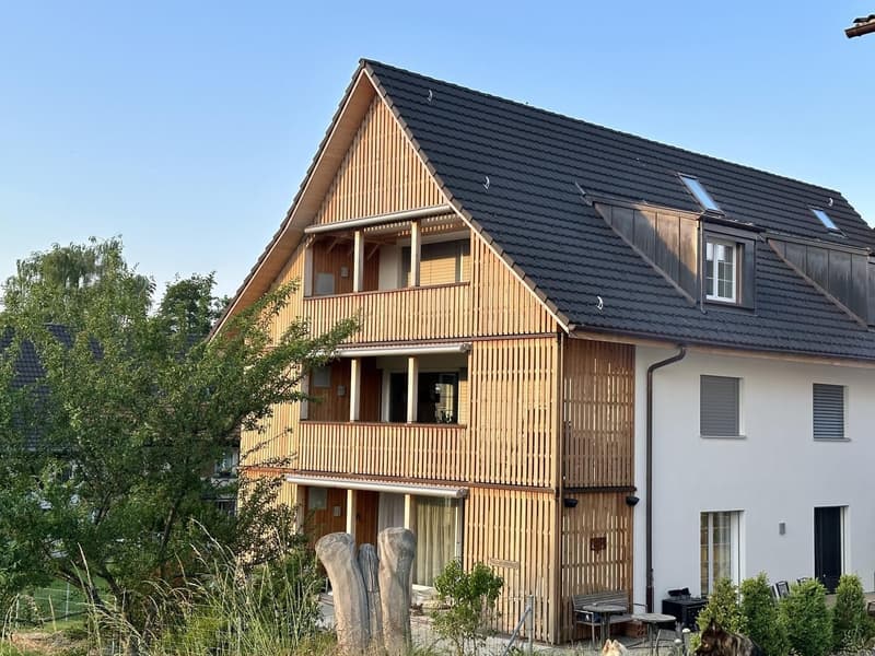 3 1/2 Dachwohnung mit zusätzlichem Raum (11)