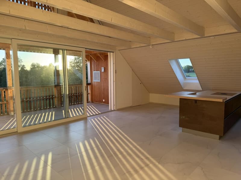 3 1/2 Dachwohnung mit zusätzlichem Raum (1)