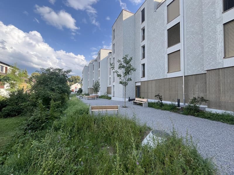 Neubau Erstbezug - WG-Zimmer in hochwertiger 4.5-Zimmer-Wohnung in Zürich-Seebach (3)