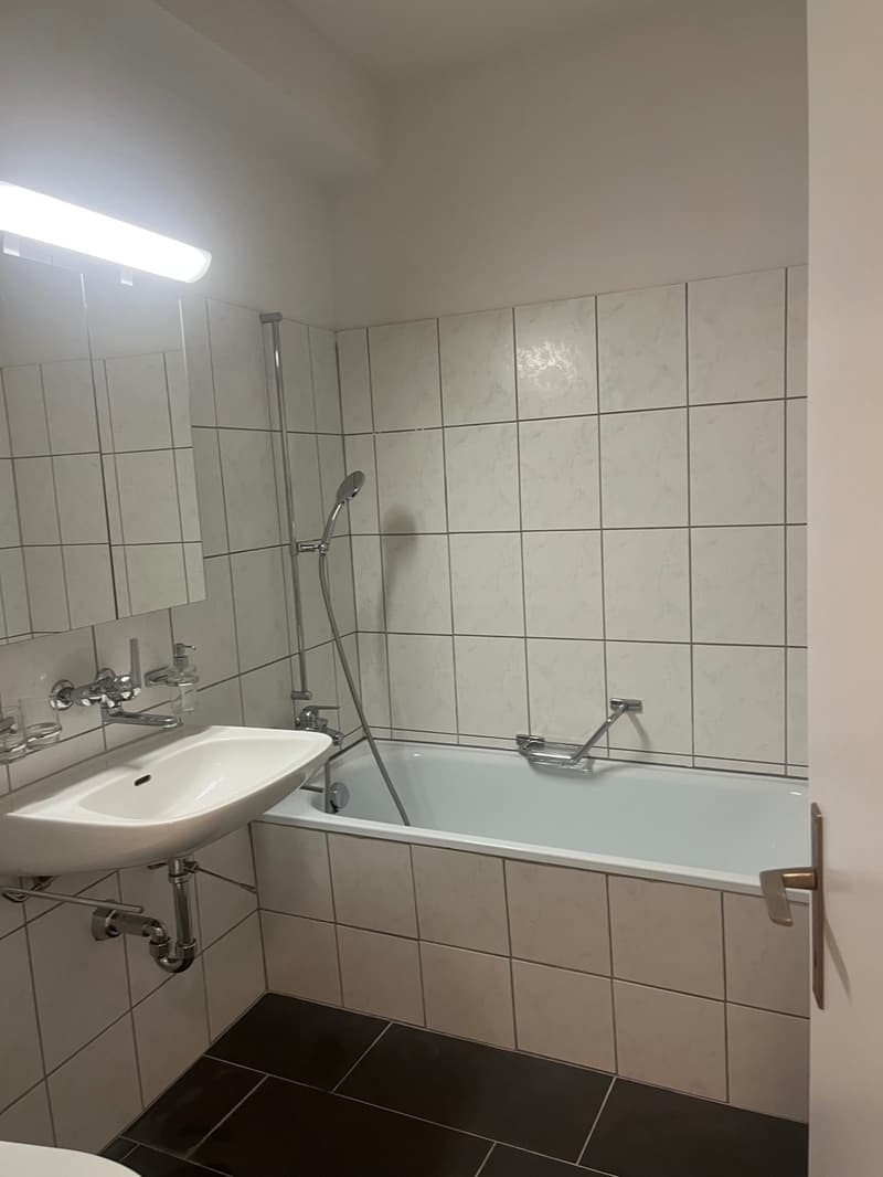 Schönes City-Studio  direkte ÖV nach Zürich, Dietikon & Wohlen (6)