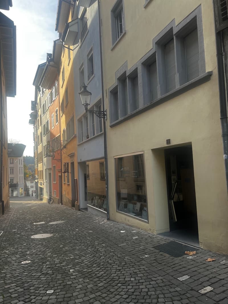 Schönes City-Studio  direkte ÖV nach Zürich, Dietikon & Wohlen (9)
