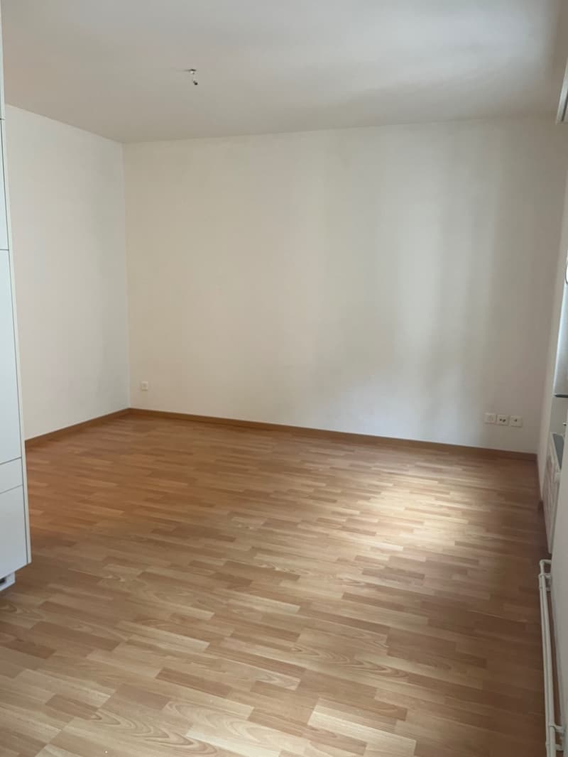 Schönes City-Studio  direkte ÖV nach Zürich, Dietikon & Wohlen (4)