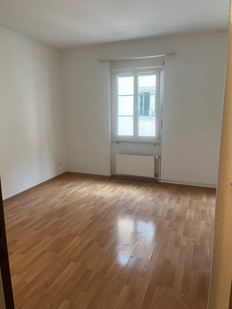 Schönes City-Studio  direkte ÖV nach Zürich, Dietikon & Wohlen (2)