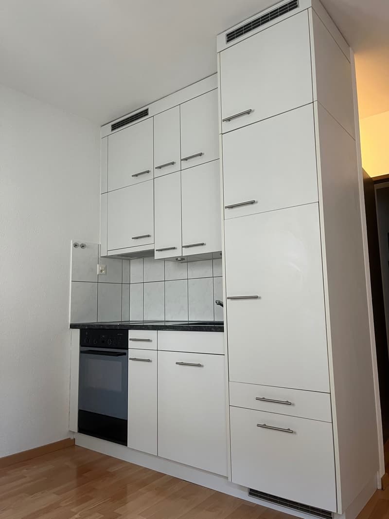 Schönes City-Studio  direkte ÖV nach Zürich, Dietikon & Wohlen (5)