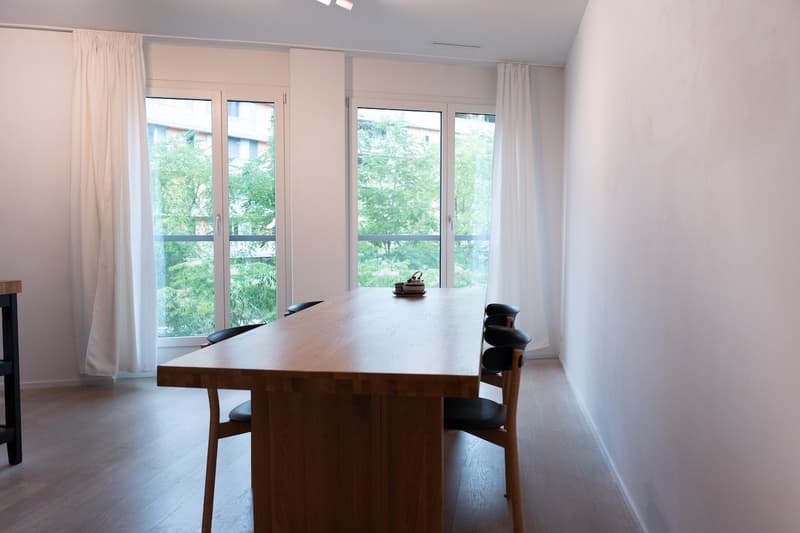 Bright & Modern 1.5-Room Studio at Turbinenstrasse 46, Zürich 8005 (1)