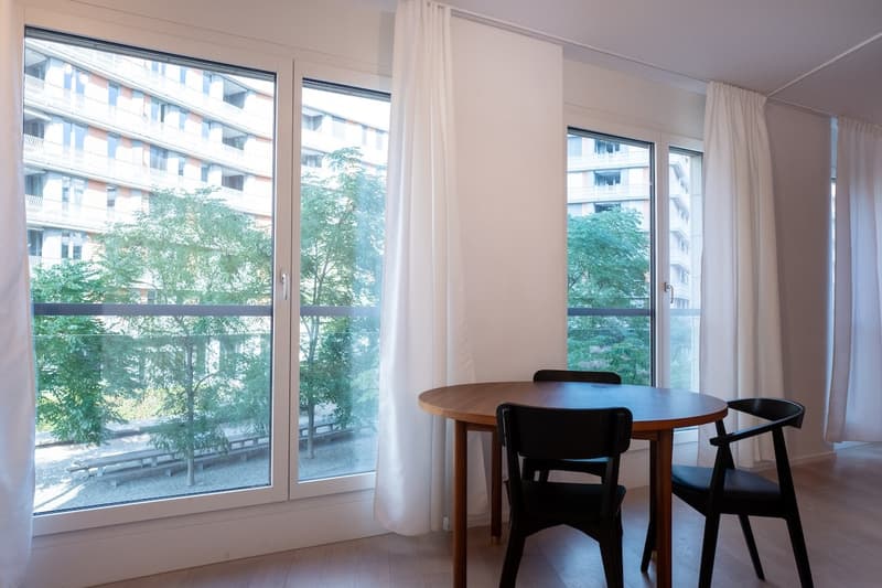 Bright & Modern 1.5-Room Studio at Turbinenstrasse 46, Zürich 8005 (2)