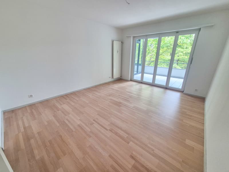 Erstvermietung: 107 m² auf 3.5 Zimmer am Zolli komplett renoviert, 2 Balkone und Wintergarten (3)