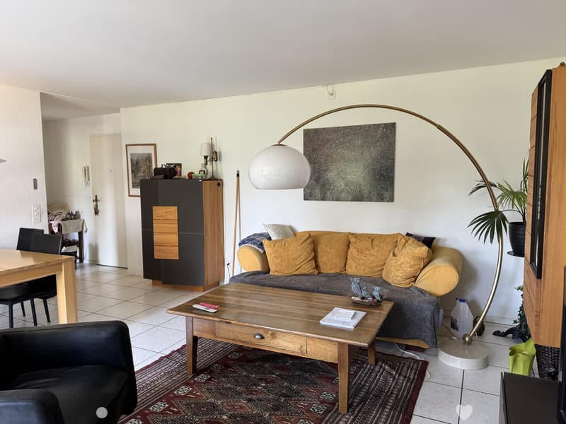 2.5 Zimmerwohnung im beliebten Lindenquartier mit ESH Platz (3)