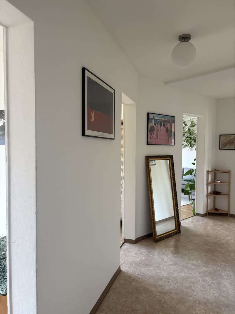 3.5 room furnished flat in Schmiede Wiedikon - Sept 6 - Oct 21 (flex) (7)