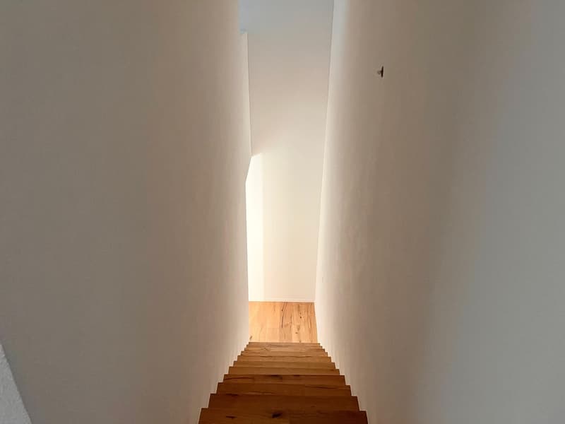 Neubau Erstbezug - Hochwertiges 6 Zimmer Reihenhaus mit Garten (7)