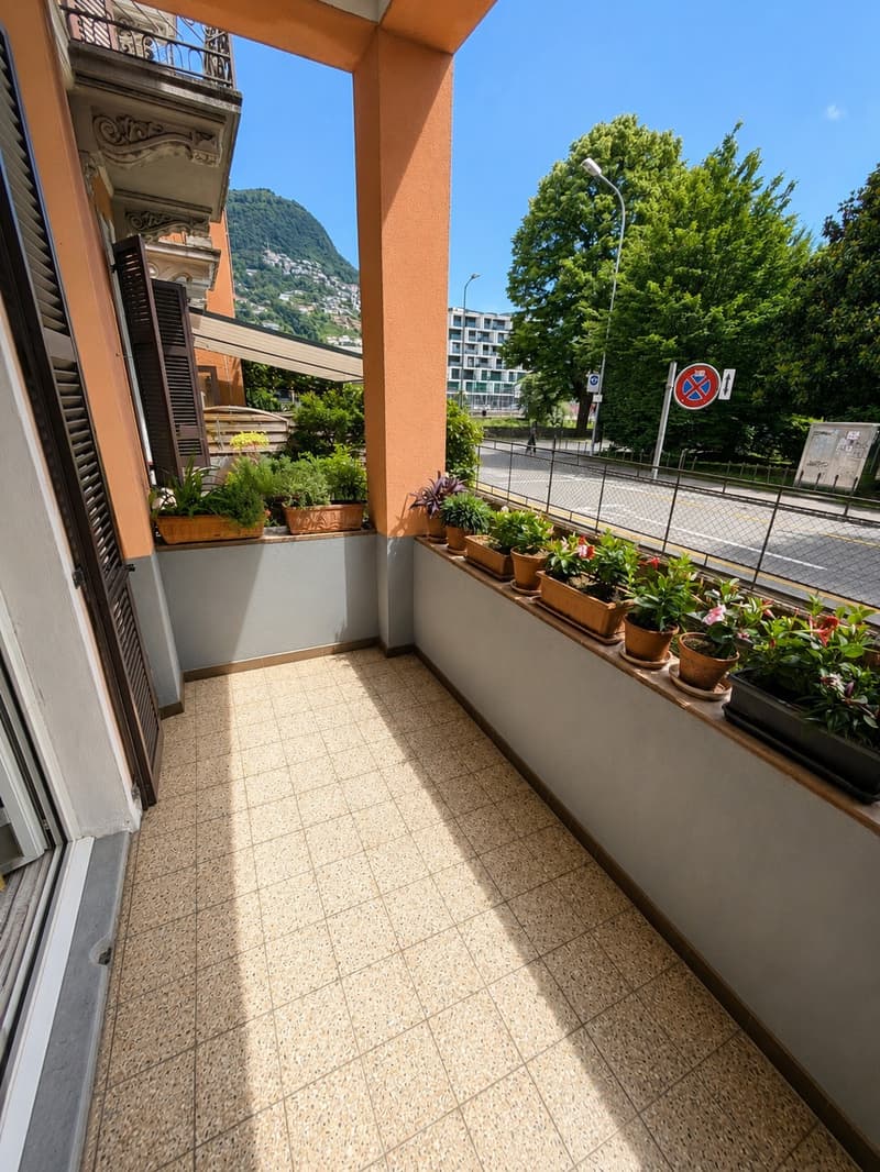Spazioso 3.5 locali al PT con giardino esclusivo Investimento a reddito 4.5% (5)