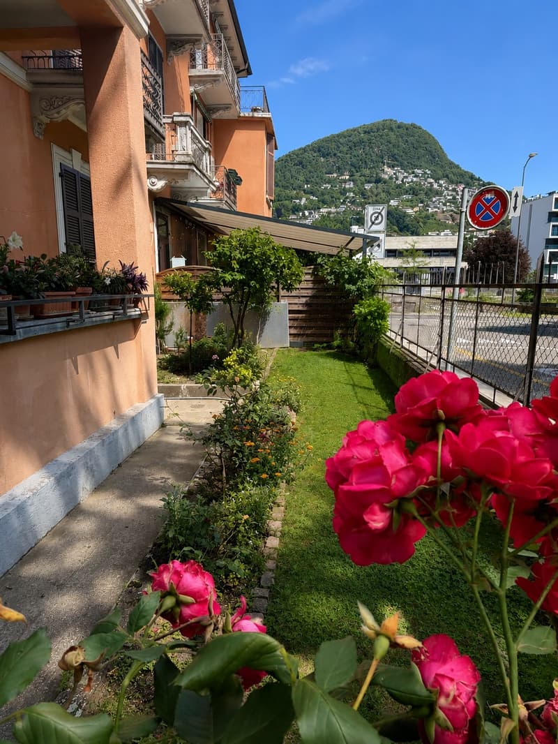Spazioso 3.5 locali al PT con giardino esclusivo Investimento a reddito 4.5% (3)