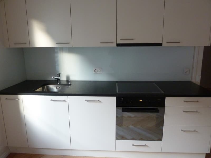 Helle 3,5-Zimmer Altbauwohnung mit Galerie und Garten in der hinteren Länggasse (2)