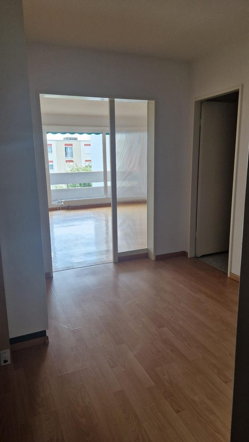 Schöne Grosszügige Wohnung (4)