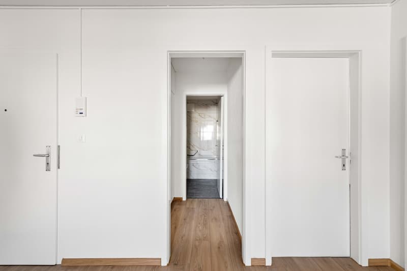 Erstvermietung nach Top-Renovation! (3)