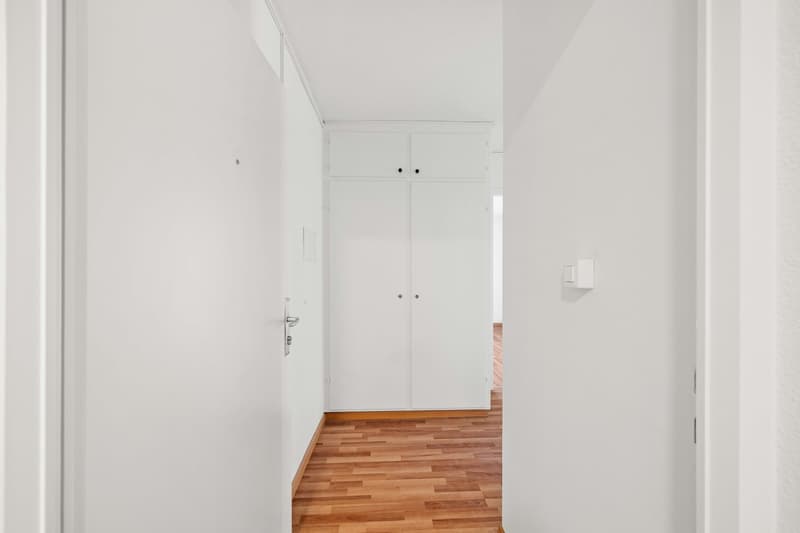 Erstvermietung nach Top-Renovation! (2)