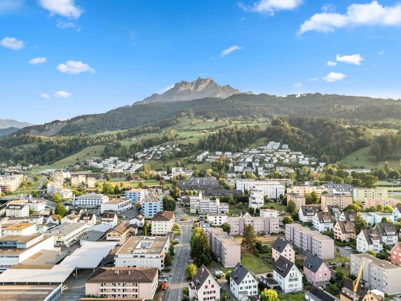 Erstvermietung nach Top-Renovation! (1)