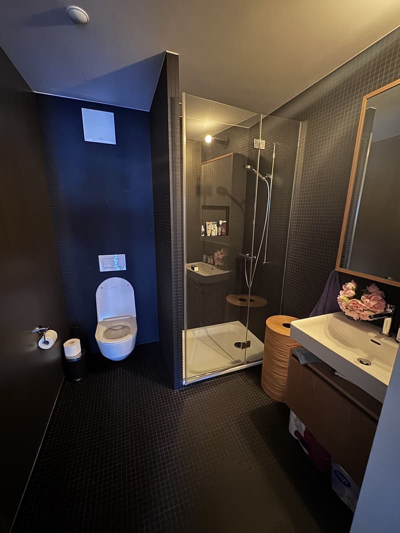 3.5 room luxury apartment in downtown Zurich (5)