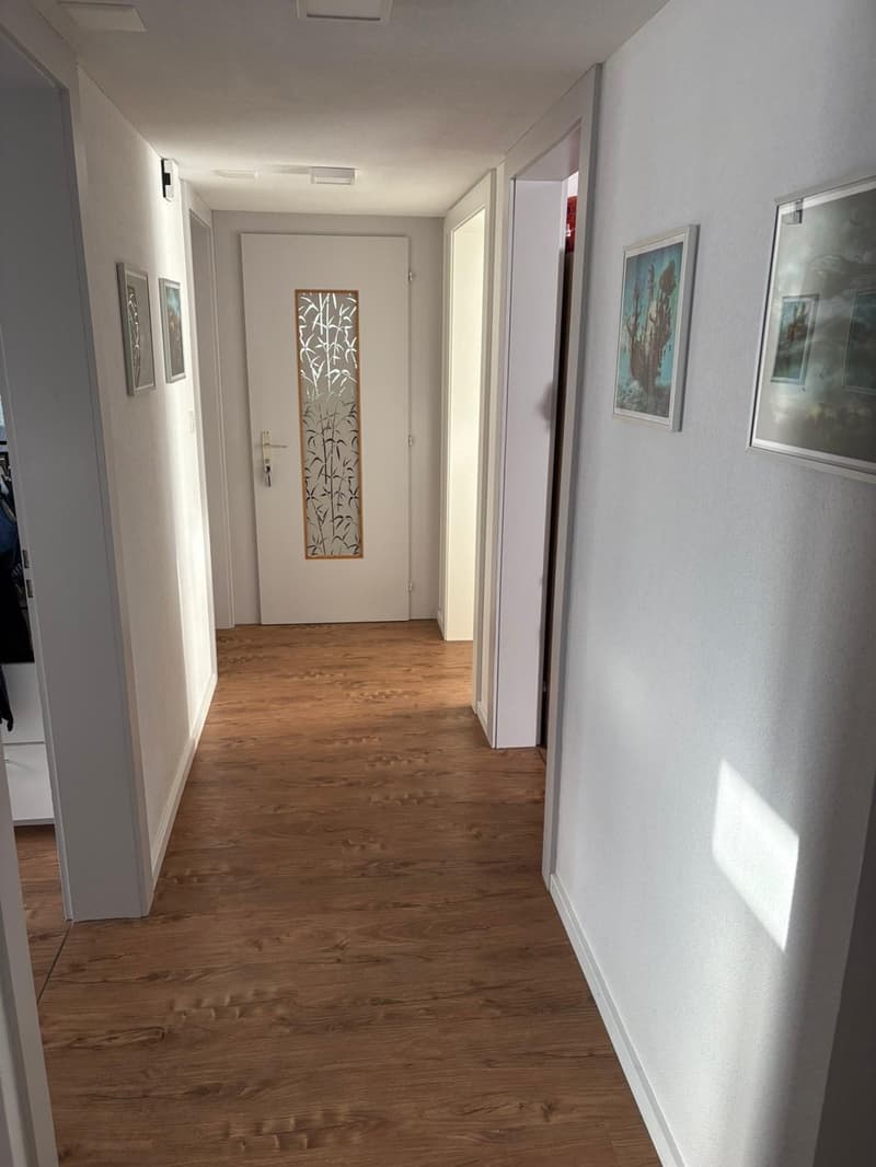 Wohnung mit grossem Garten (1)