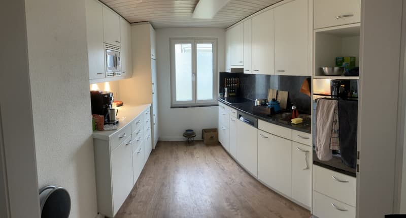 Wohnung mit grossem Garten (3)