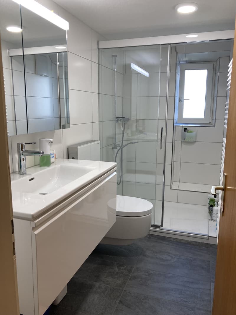 Wohnung mit grossem Garten (4)