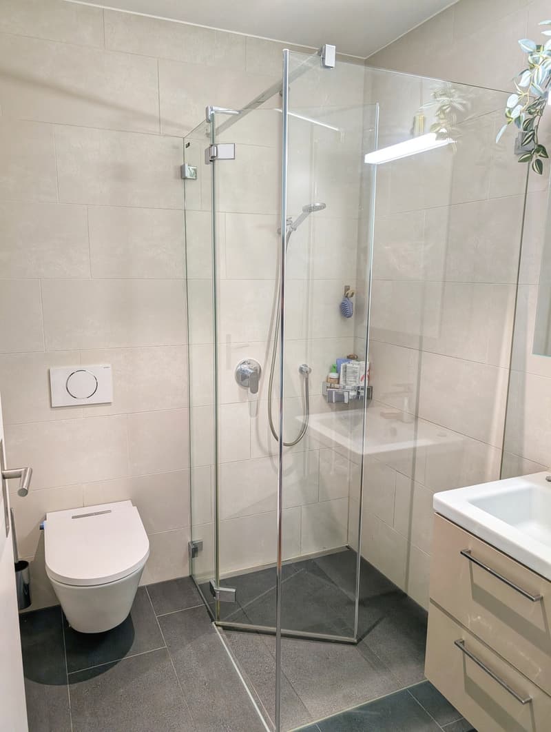 Exklusive 4.5-Zimmer-Wohnung im MOYO Horw (7)