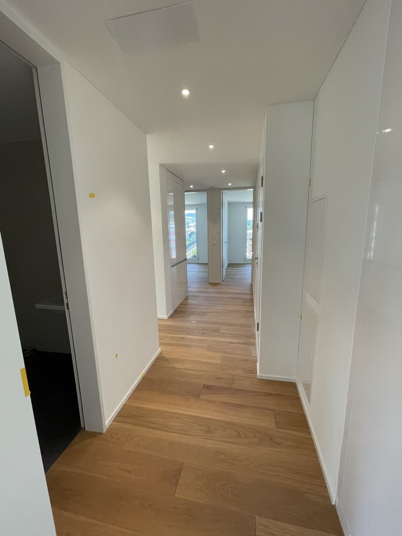 Exklusive 4.5-Zimmer-Wohnung im MOYO Horw (13)