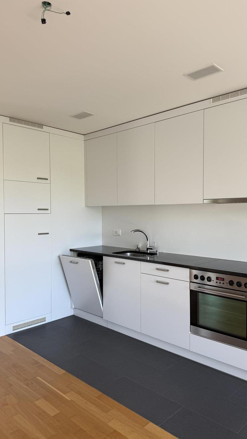 71 m² Wohnkomfort moderne 2.5-Zimmer-Dachwohnung mit Balkon (4)