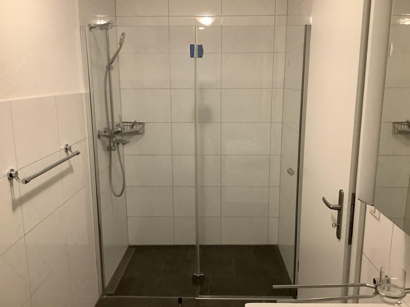 Willkommen in dieser charmanten 2.5-Zimmer-Wohnung (4)