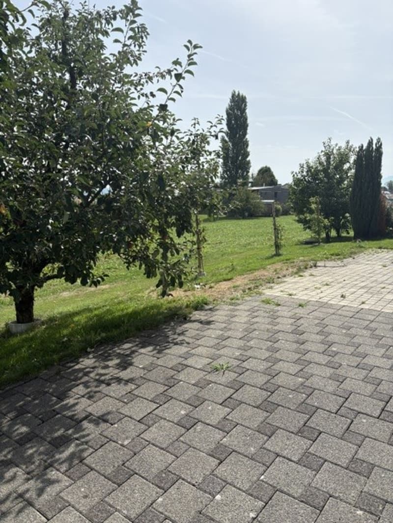 Willkommen in dieser charmanten 2.5-Zimmer-Wohnung (8)